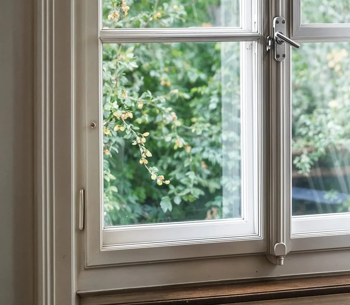 A white timber window looking out onto a garden
